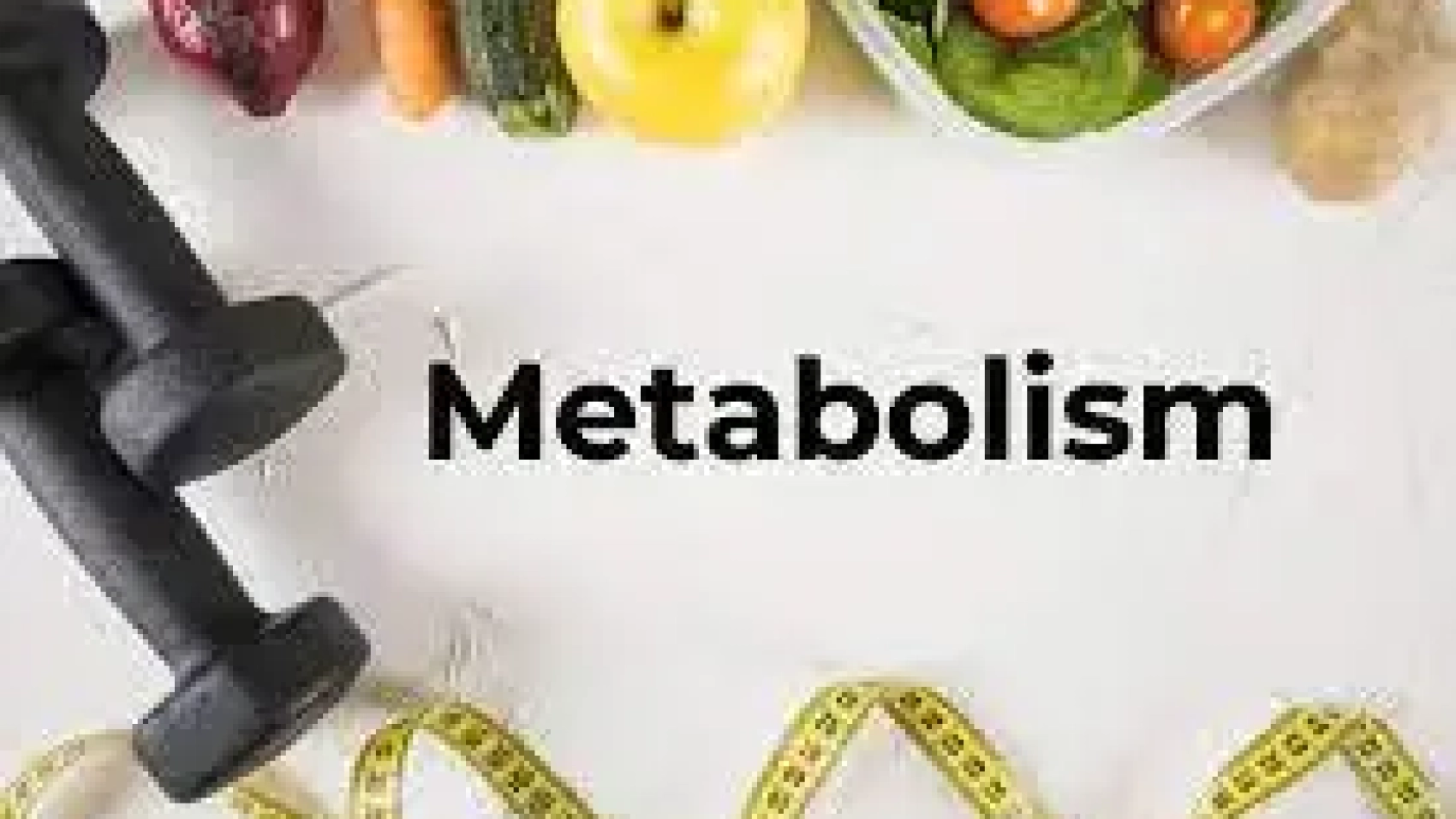 عملية الأيض